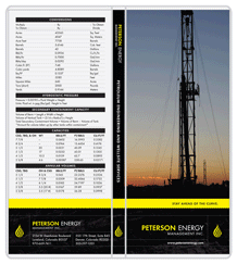 Large Economy Clear Covers